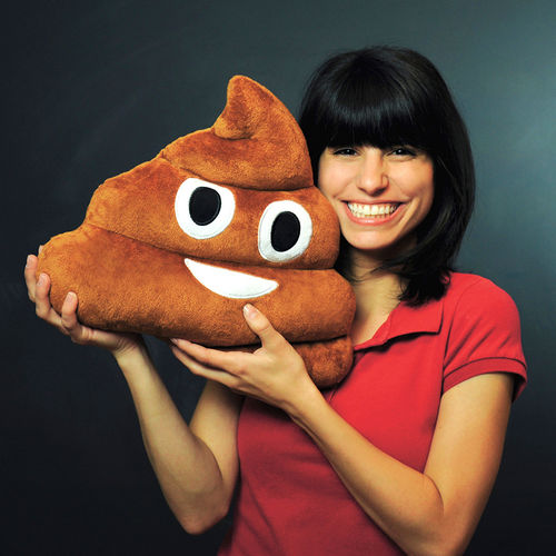 Emoji-poop-plush-pillow
