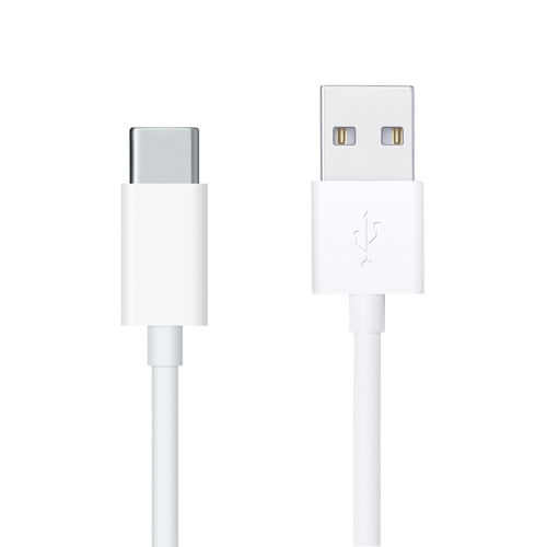 Short USB Type-C Data Charging Cable (30cm) - White